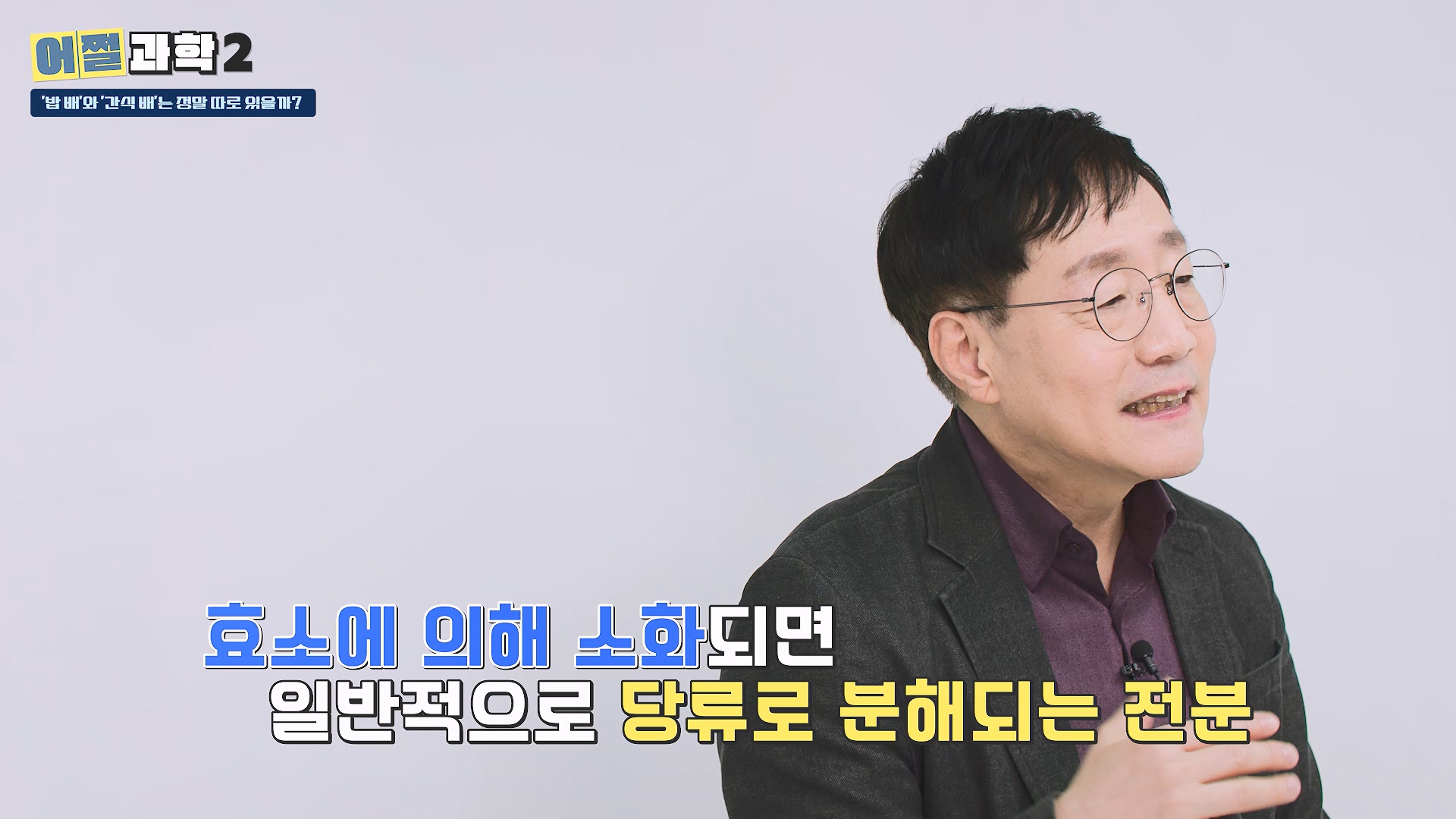 효소에 의해 소화되면 일반적으로 당류로 분해되는 전분